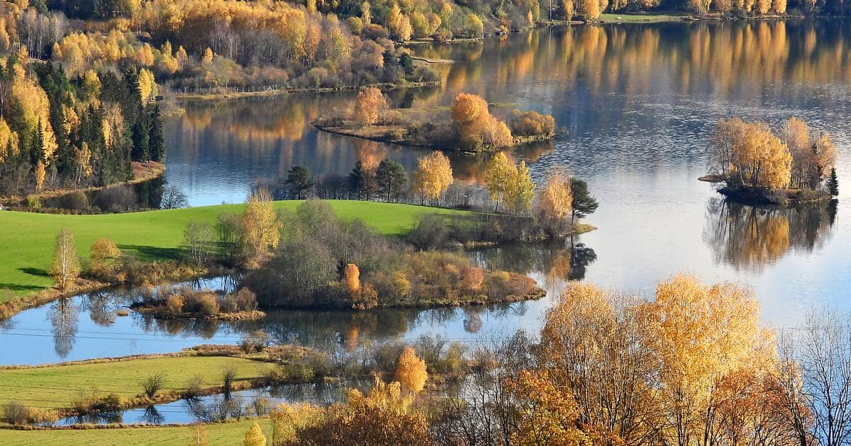 Lågendeltaet om høsten. Foto: Bernt M. Tordhol