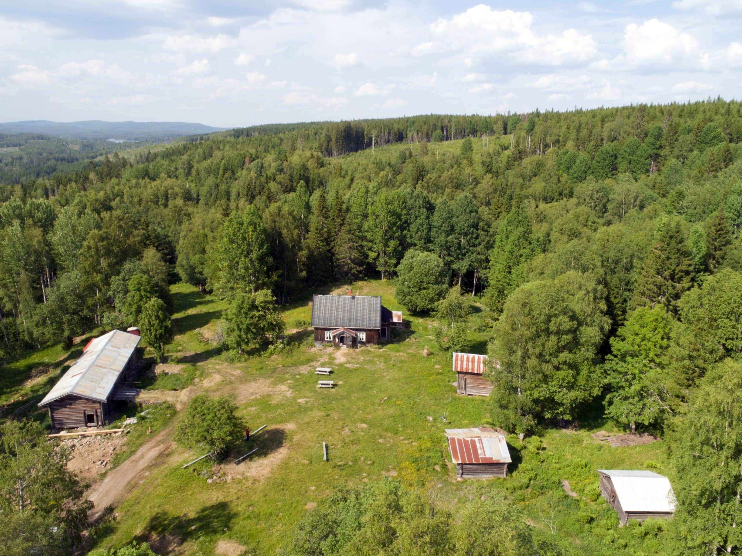 Abborhøgda. Foto: Cathrine Lillo-Stenberg