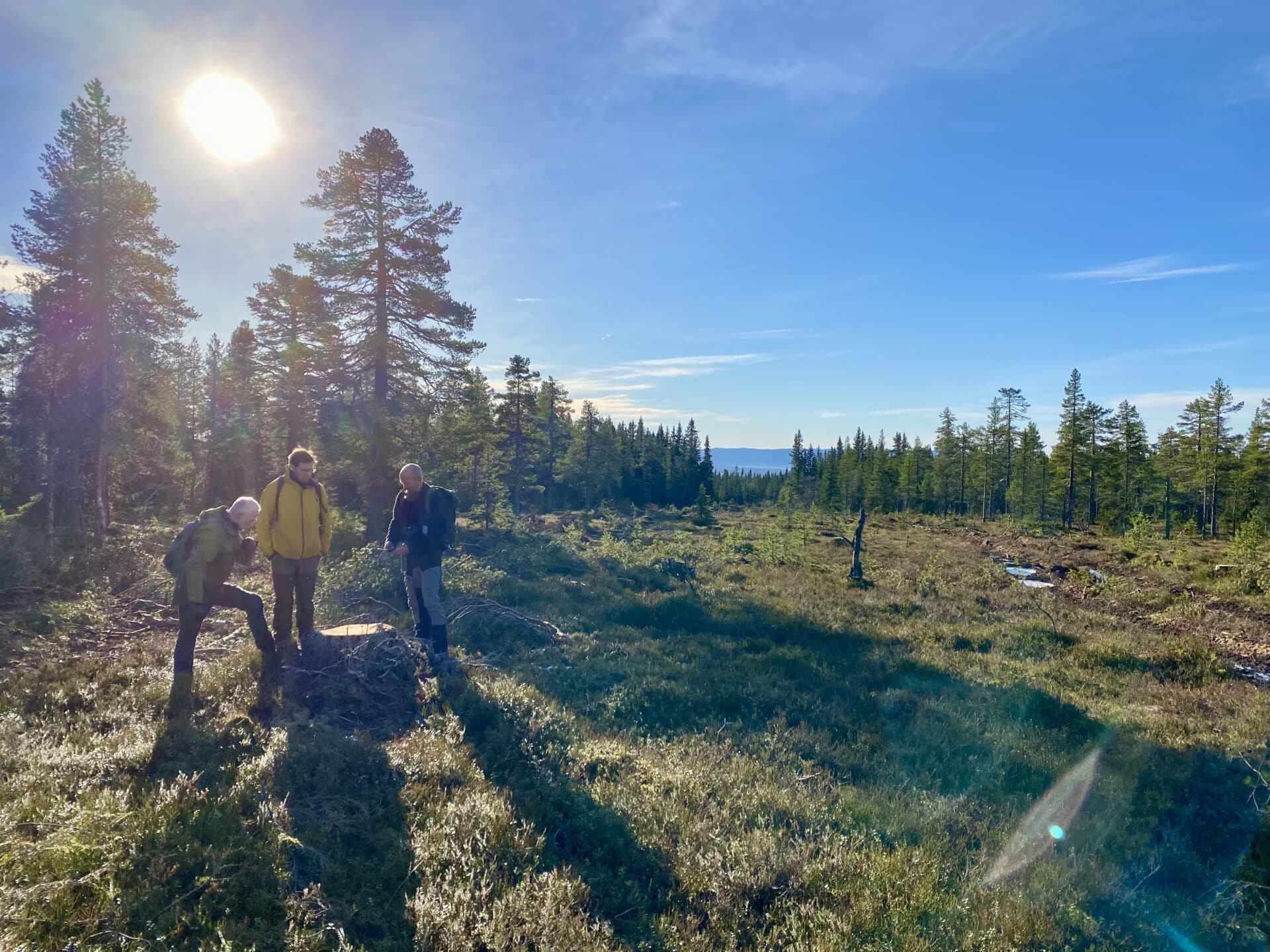 Skogutvalget på befaring i Hamar høsten 2021.